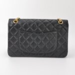 Chanel 2.55 Flag Bag (Шанель) — фото 5