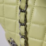 Chanel Classic Flap (Шанель) — фото 14