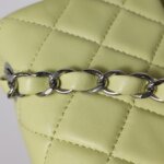 Chanel Classic Flap (Шанель) — фото 15