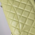 Chanel Classic Flap (Шанель) — фото 26