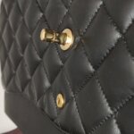 Chanel Classic Flap (Шанель) — фото 14