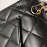 Chanel Classic Flap (Шанель) — фото 23