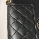 Chanel Flap Bag (Шанель) — фото 31