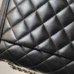 Chanel Flap Bag (Шанель) — фото 20