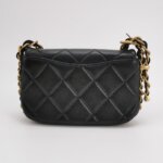 Chanel Flap Bag (Шанель) — фото 5