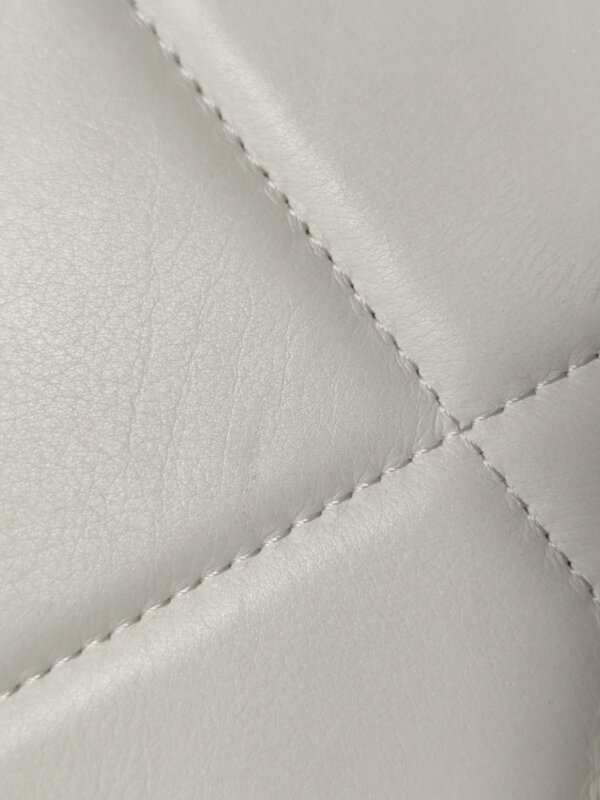 Chanel 19Bag