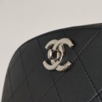 Chanel Flap Bag (Шанель) — фото 17