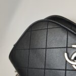 Chanel Flap Bag (Шанель) — фото 20