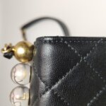 Chanel Flap Bag (Шанель) — фото 20