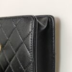 Chanel Flap Bag (Шанель) — фото 22