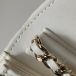 Chanel Flap Bag (Шанель) — фото 12