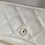 Chanel Flap Bag (Шанель) — фото 13