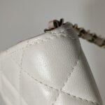 Chanel Flap Bag (Шанель) — фото 19
