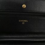 Chanel WOC (Шанель) — фото 8