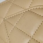 Chanel Quilted Lambskin CC Crossbody (Шанель) — фото 21