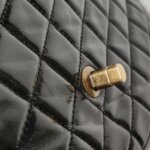 Chanel Flap Bag (Шанель) — фото 14