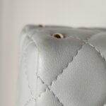 Chanel Quilted Lambskin CC Crossbody (Шанель) — фото 21