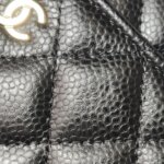 Chanel WOC (Шанель) — фото 19