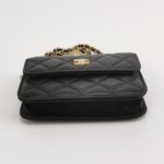 Chanel Quilted Lambskin Shoulder Bag (Шанель) — фото 6
