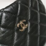 Chanel Quilted Lambskin CC Handbag (Шанель) — фото 11
