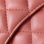 Chanel Classic Flap (Шанель) — фото 16