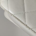 Chanel Quilted Calfskin CC Shoulder Bag (Шанель) — фото 17